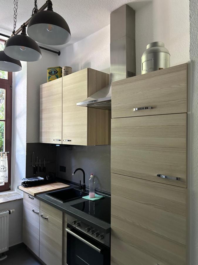 Ruhige Wohnung Im Fabrikstil In Хемниц Экстерьер фото